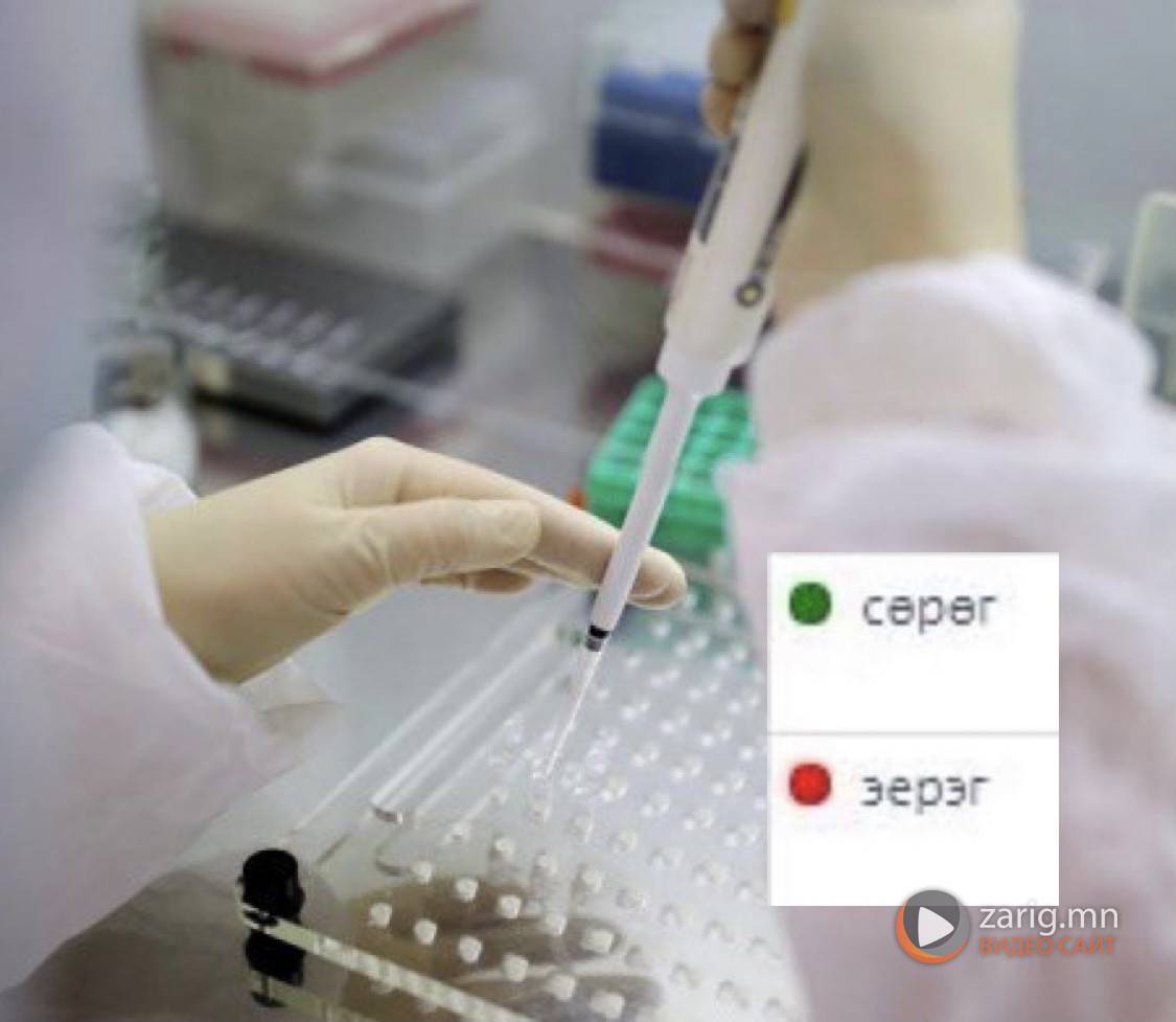 Иргэн Б: Хоёр удаа PCR шинжилгээ өгөхөд эхнийх нь хариу эерэг, хоёр ...